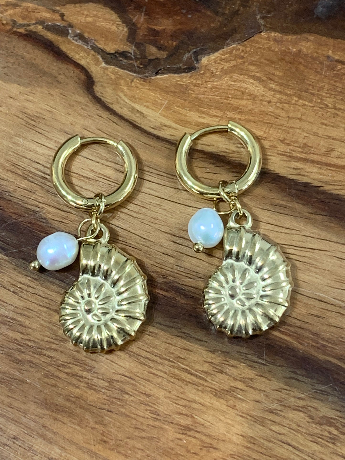 Coastal Shell Earrings