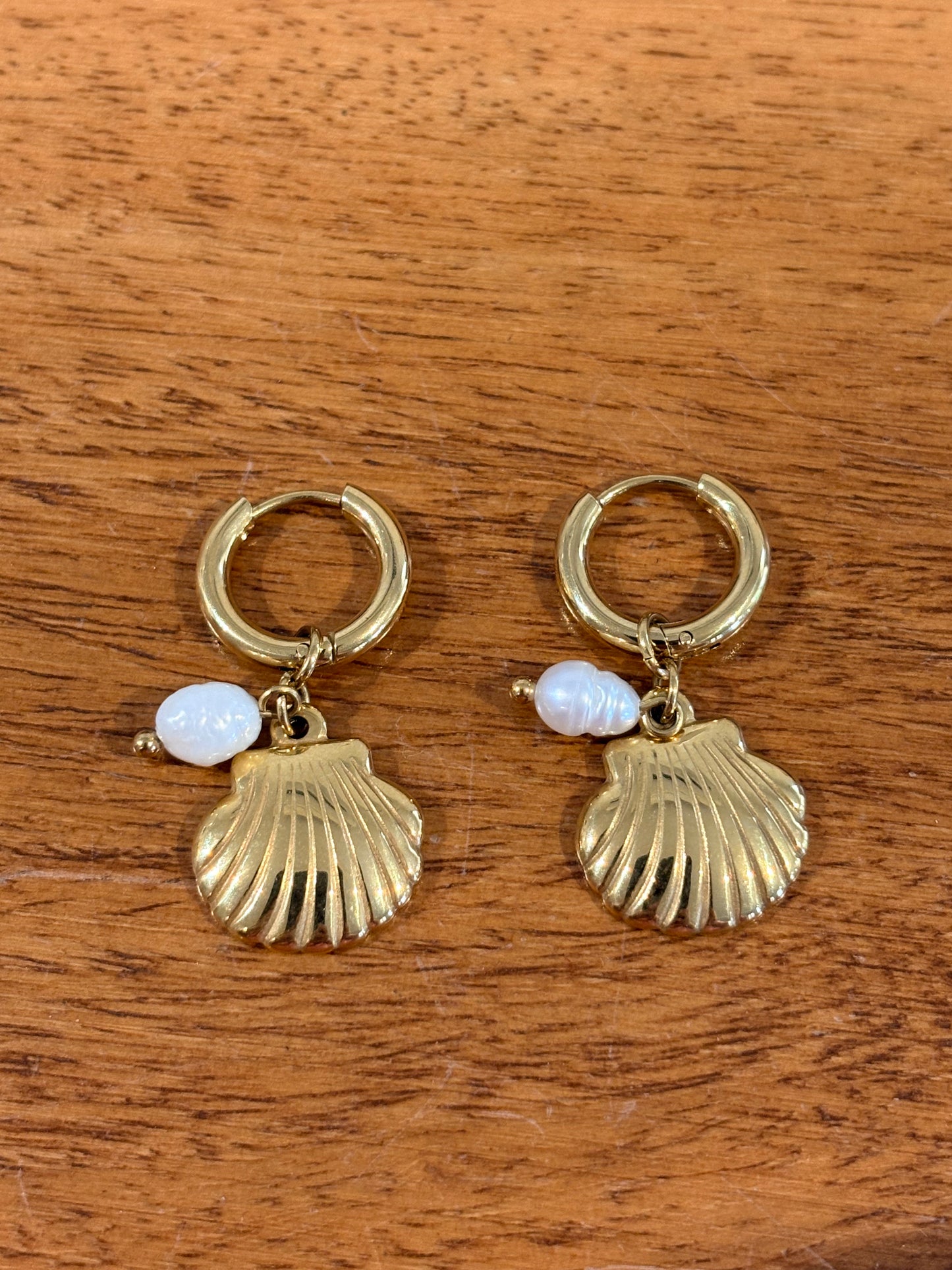 Coastal Clamshell Earrings